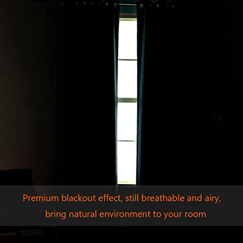 Blackout Thermal Insulated Grommet Solid Color Curtains