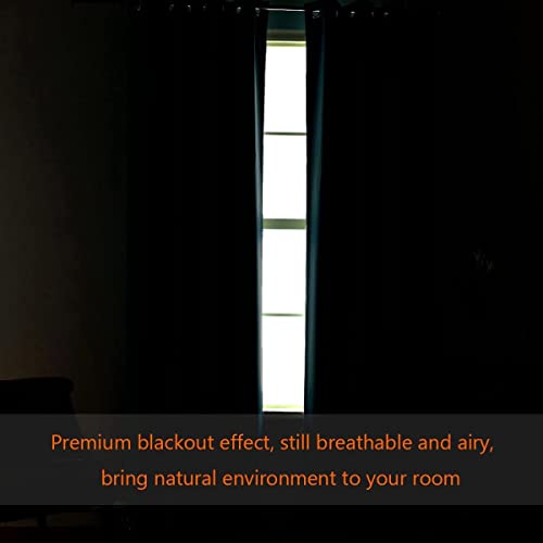 Blackout Thermal Insulated Grommet Solid Color Curtains