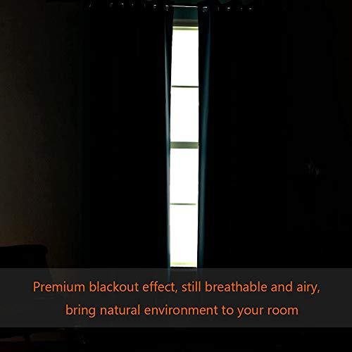 Blackout Thermal Insulated Grommet Solid Color Curtains