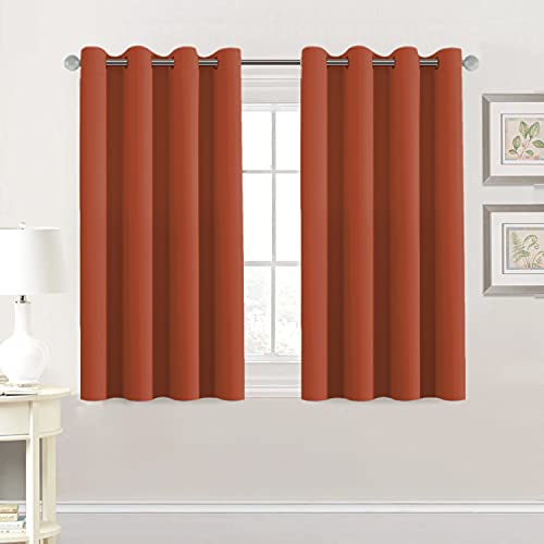 Blackout Thermal Insulated Grommet Solid Color Curtains