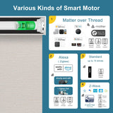 Hardwired Motorized Roller Shades 100% Blackout Essential