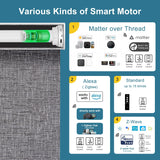 Hardwired Motorized Roller Shades 100% Blackout Safari